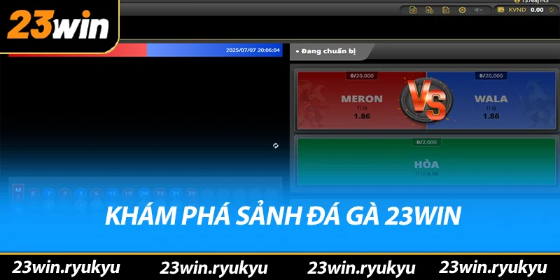 Khám phá sảnh đá gà 23win